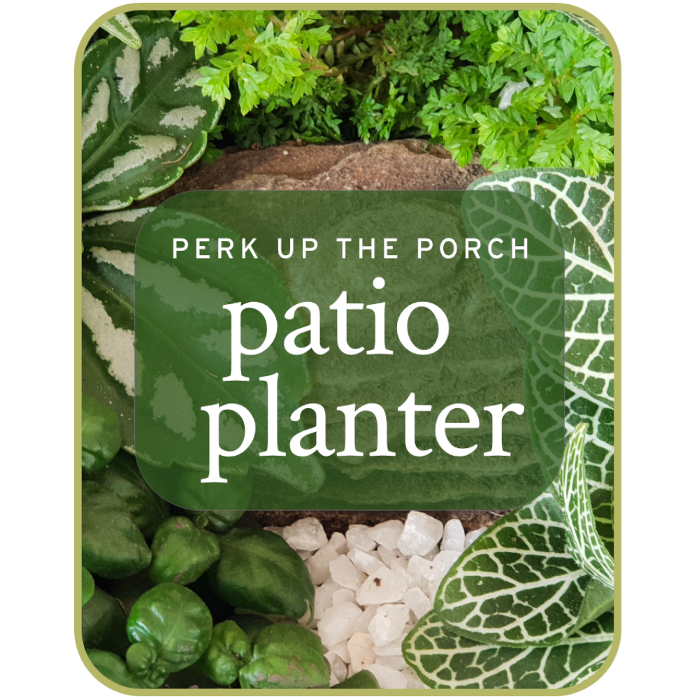 Patio Planter Quality Flowers, Fort Smith AR