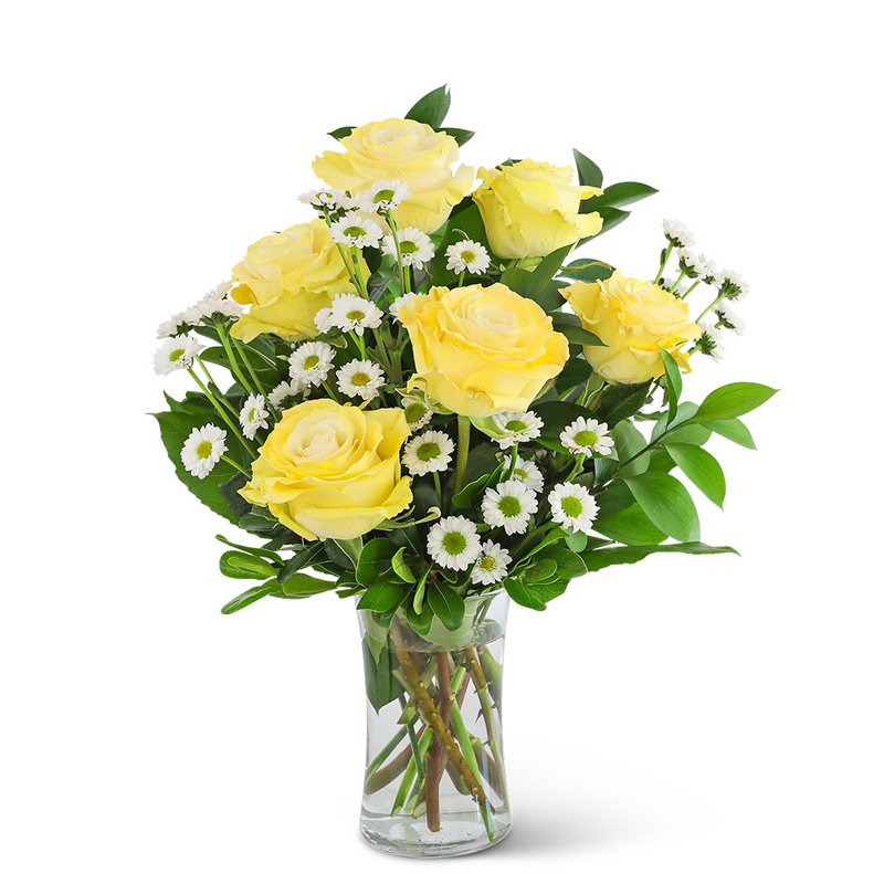 Yellow Roses with Daisies Quality Flowers, Fort Smith AR