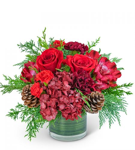 Ruby Red Velvet