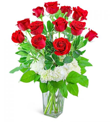 One Dozen Red Roses with Hydrangea
