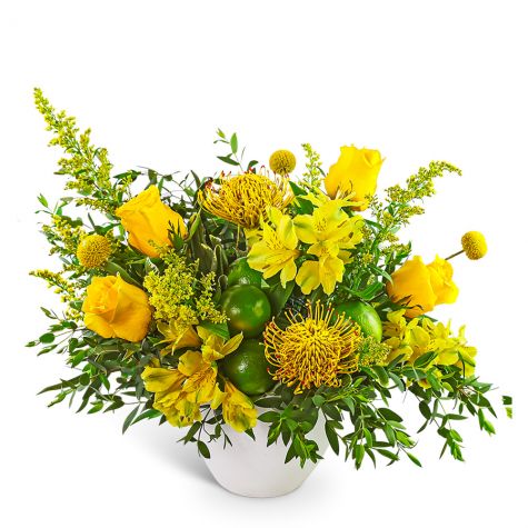 Lush Zest Delight