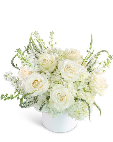 Chantilly Creme