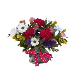 POLKA DOTS AND POSIES