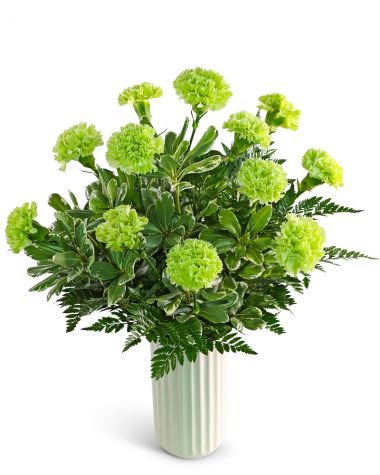 One Dozen Bright Green Carnations