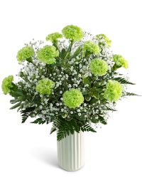 One Dozen Starry Green Carnations