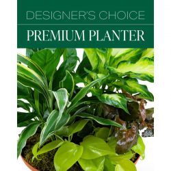 Designer's Choice Premium Planter