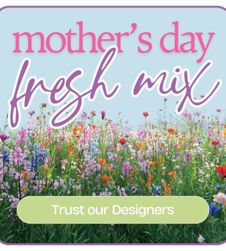 Designer's Choice Mother's Day Arrangement