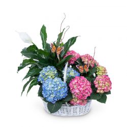 Bountiful Basket with Butterflies