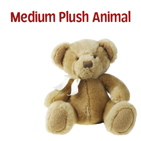 Medium Plush Animal