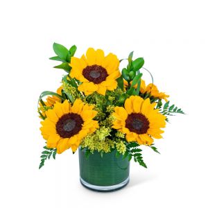 Sunshine Sunflowers