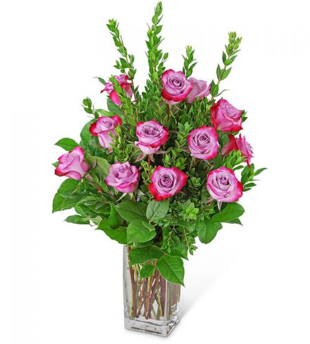 Vibrant Lavender Roses (12)