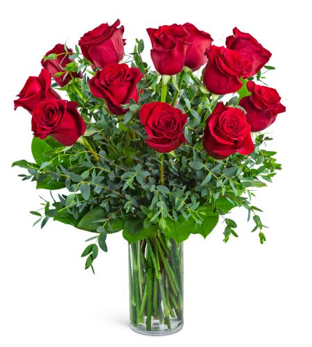 One Dozen Red Hot Roses