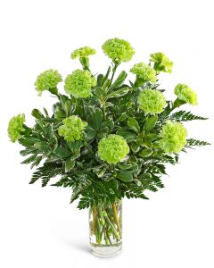 One Dozen Green Carnations