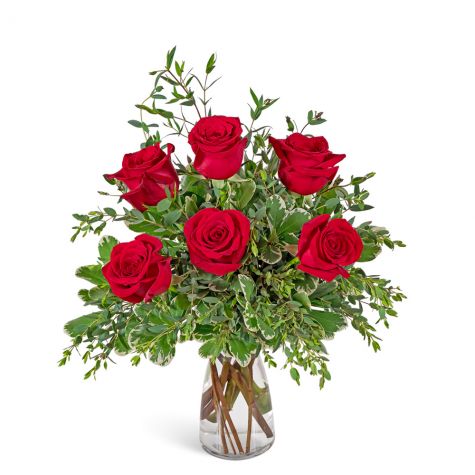 Half Dozen Red Roses