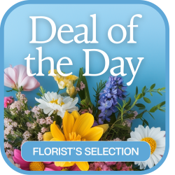 Florist's Deal of the Day