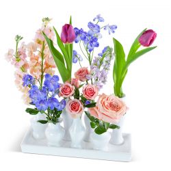 Mom's Garden