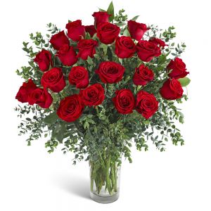 Two Dozen Red Hot Roses
