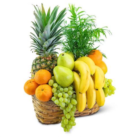 Green Goodness Fruit & Plant Basket