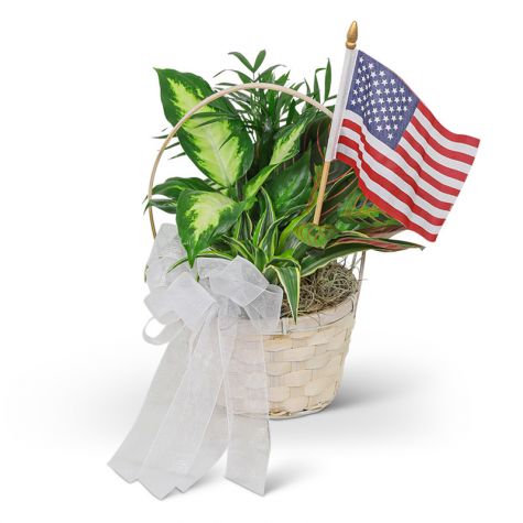 Patriotic Planter