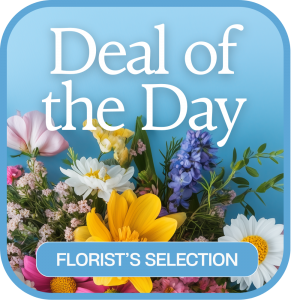 Florist's Deal of the Day