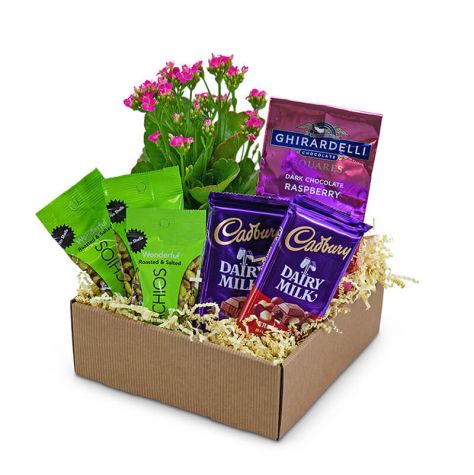 Sugar and Spice Basket
