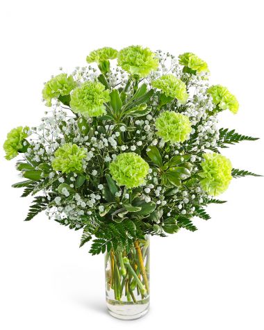 One Dozen Green Carnations with Babies Breath