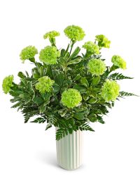 One Dozen Bright Green Carnations
